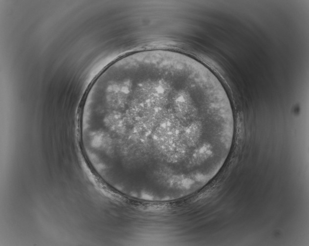 X0000115201047200912091130