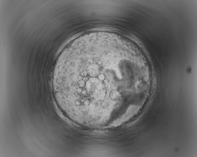 X0000115201049200912091130