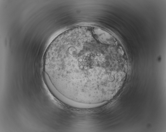 X0000115201050200912091130