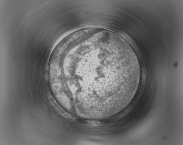 X0000115201052200912091130