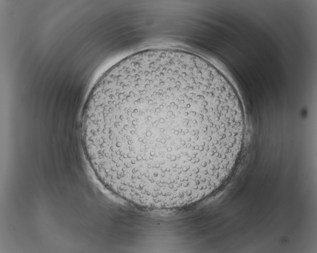 X0000115201053200912091130