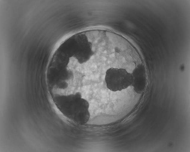 X0000115201054200912091130