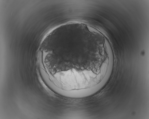 X0000115201055200912091130