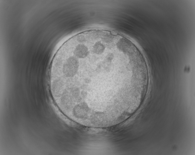 X0000115201056200912091130