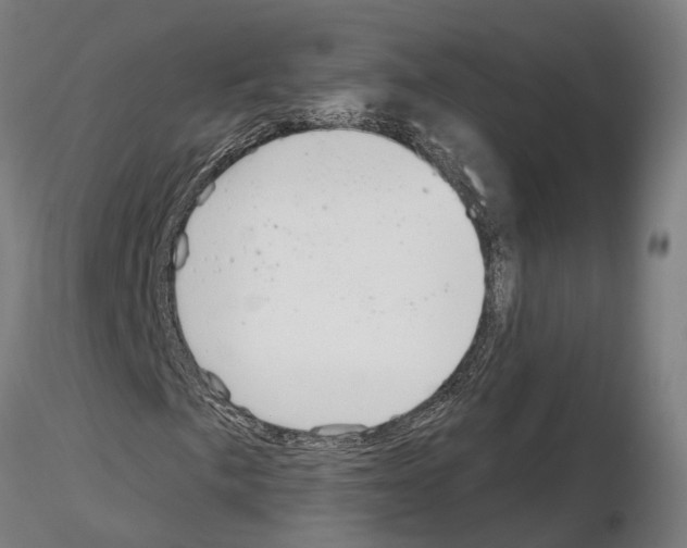 X0000115201057200912091129