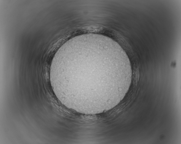 X0000115201058200912091129