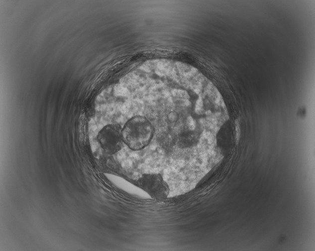 X0000115201059200912091129