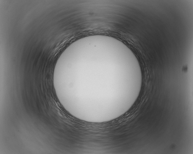 X0000115201060200912091129