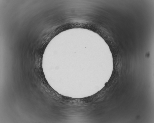 X0000115201061200912091129