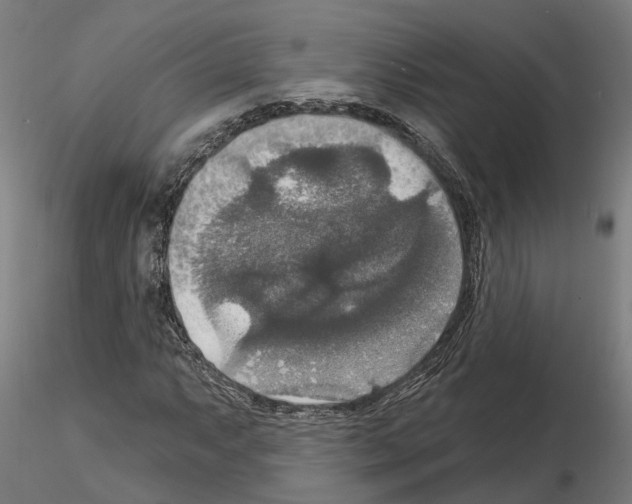 X0000115201063200912091129