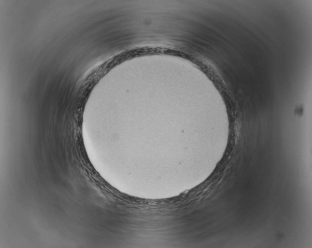 X0000115201064200912091129