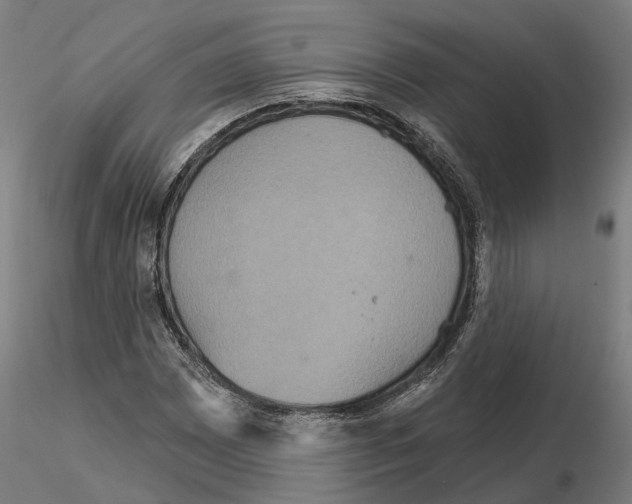 X0000115201065200912091129