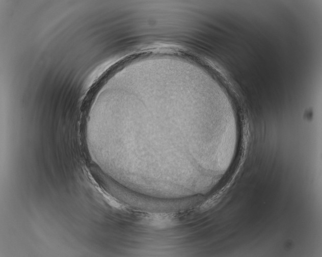 X0000115201066200912091129