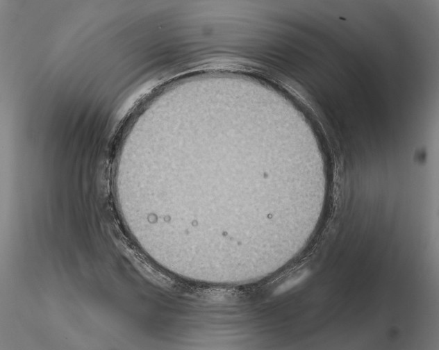 X0000115201067200912091129