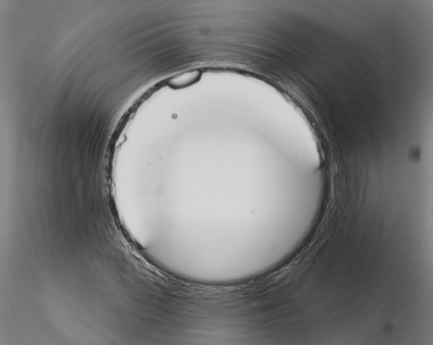 X0000115201068200912091129