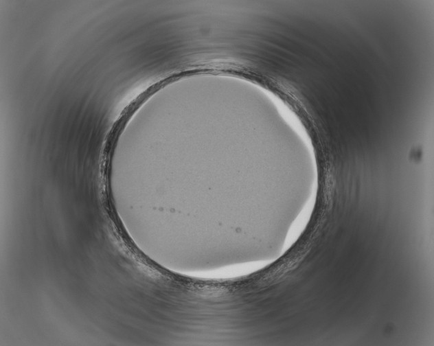 X0000115201071200912091129