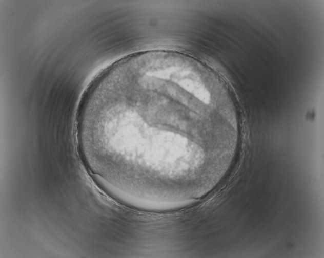 X0000115201072200912091129