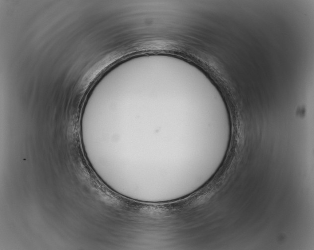 X0000115201073200912091129