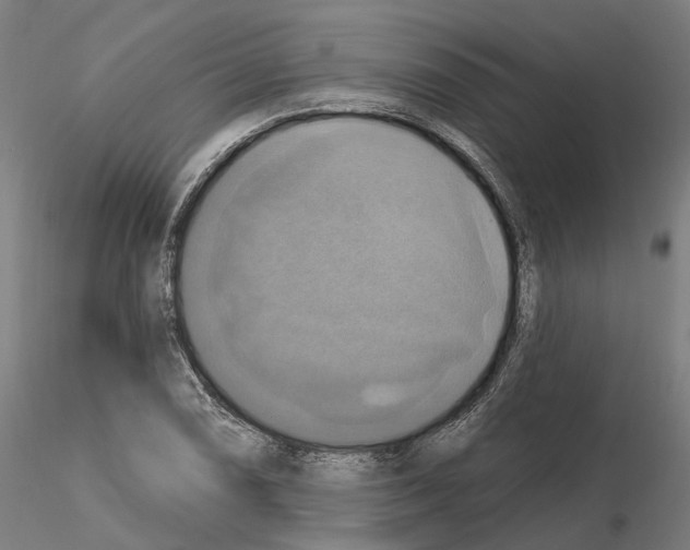 X0000115201074200912091129