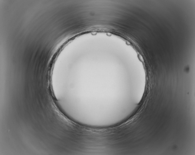 X0000115201075200912091129