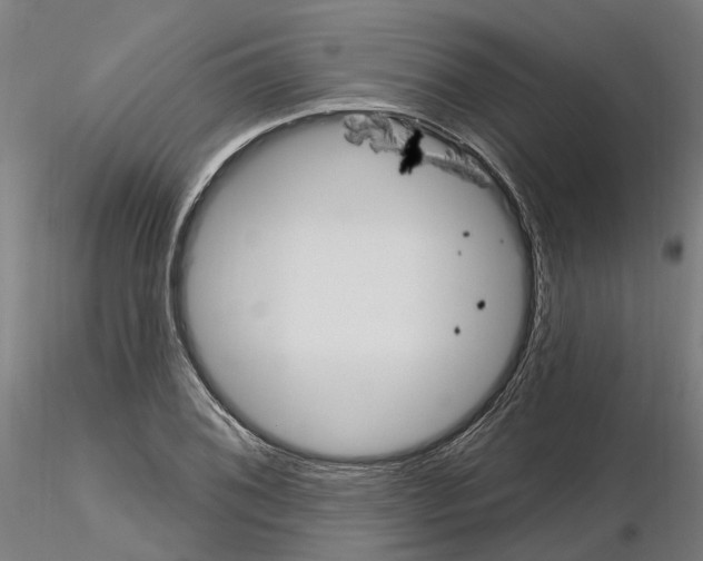 X0000115201076200912091129