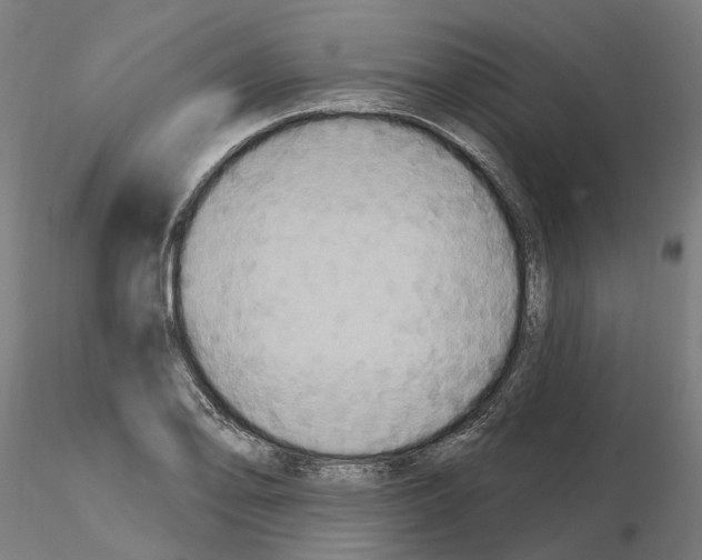 X0000115201078200912091129