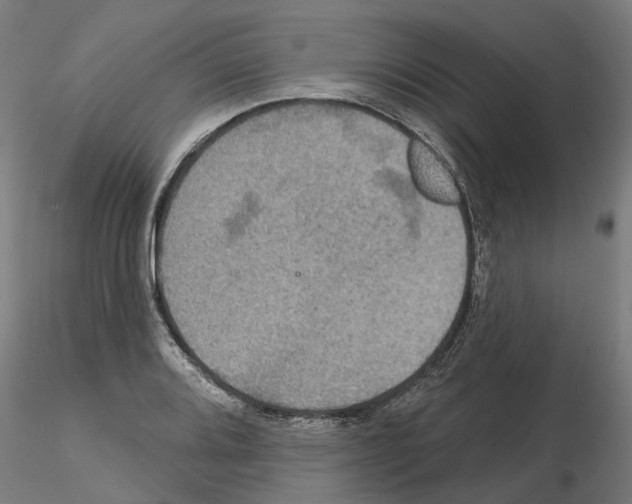 X0000115201080200912091129