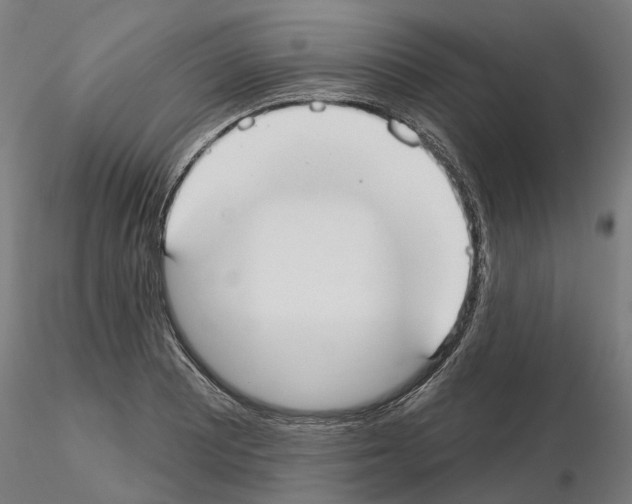 X0000115201081200912091129