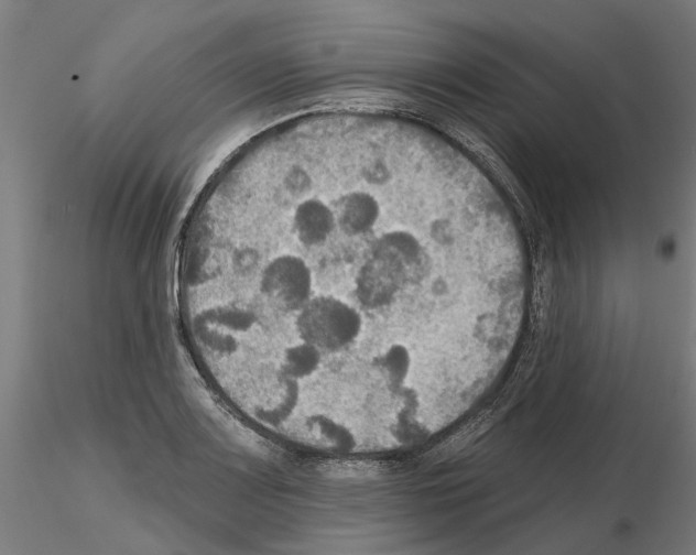 X0000115201083200912091128