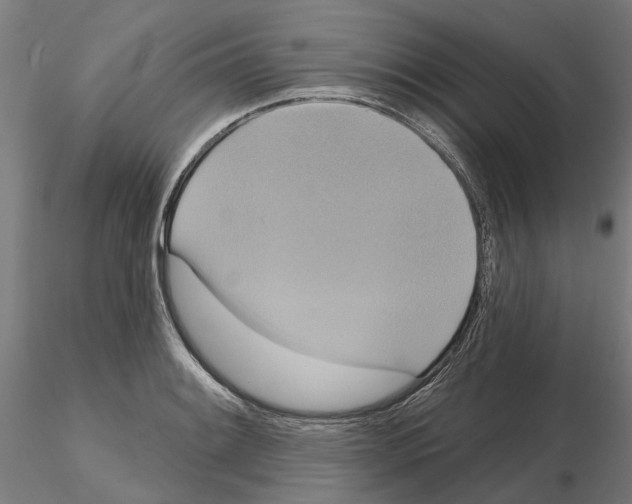 X0000115201084200912091128