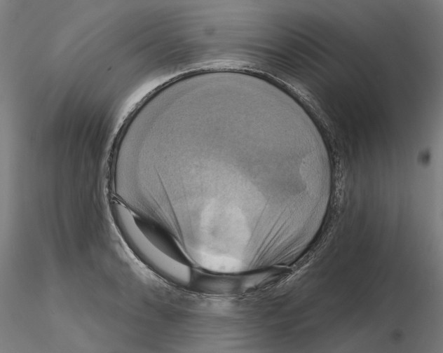 X0000115201086200912091128