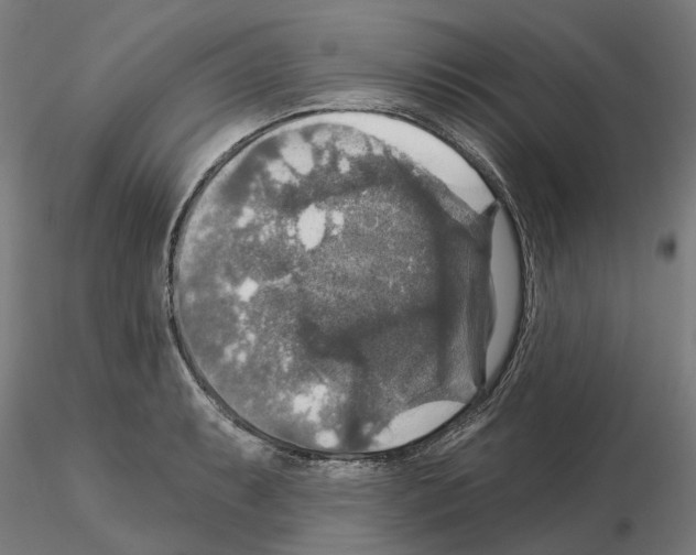 X0000115201087200912091128