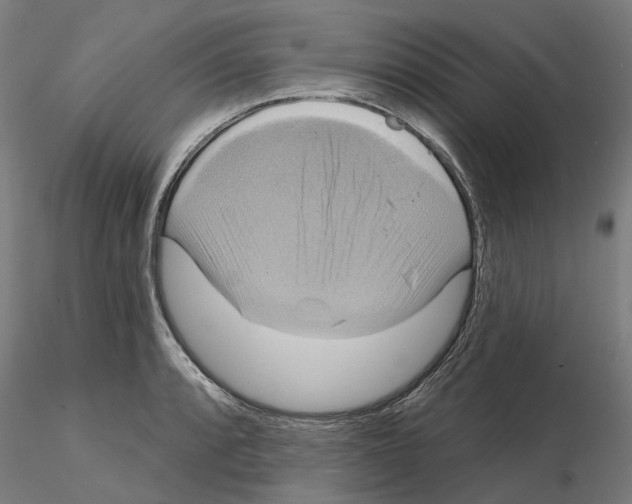 X0000115201088200912091128