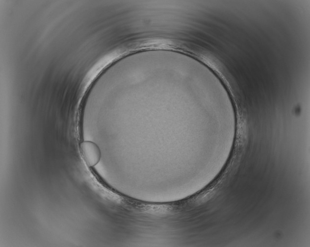 X0000115201090200912091128