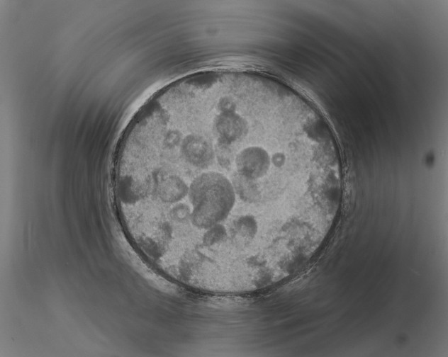 X0000115201091200912091128