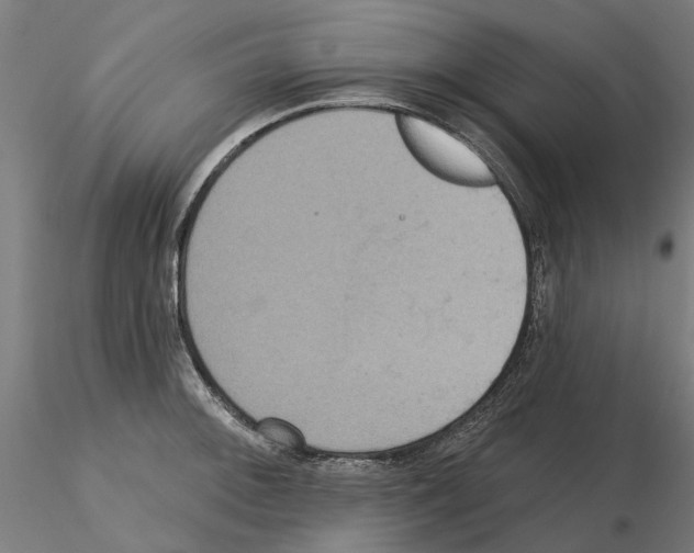 X0000115201092200912091128