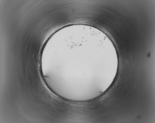 X0000115201093200912091128