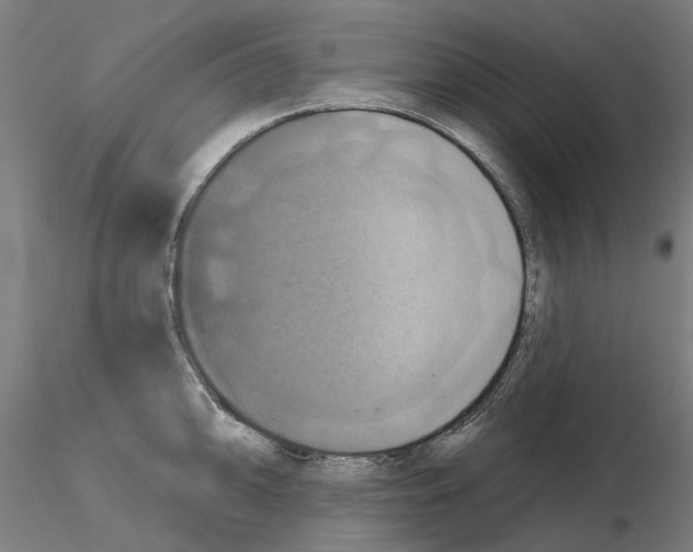 X0000115201094200912091128