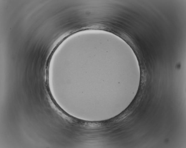 X0000115201095200912091128