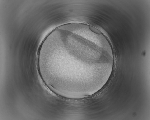 X0000115201096200912091128