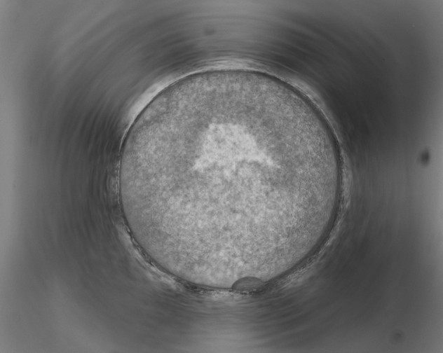 X0000115201097200912091128