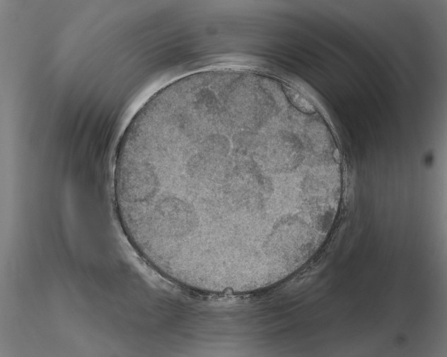 X0000115201099200912091128