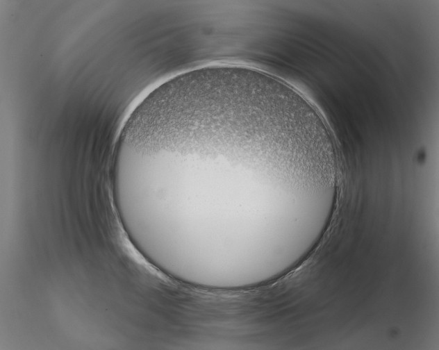 X0000115201100200912091128