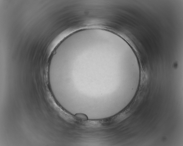 X0000115201101200912091128