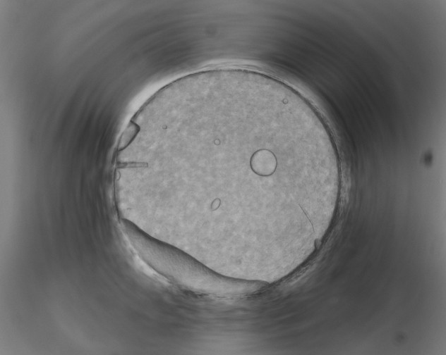 X0000115201102200912091128