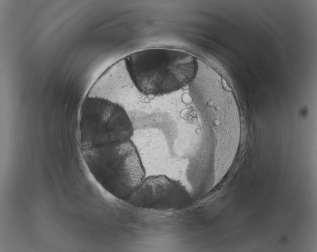 X0000115201103200912091128