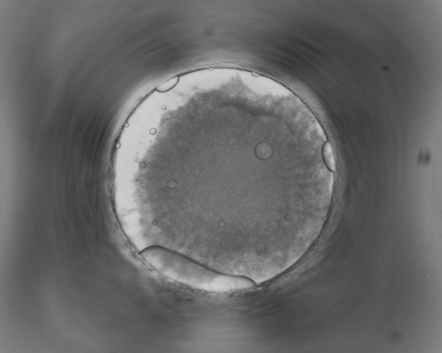 X0000115201104200912091128