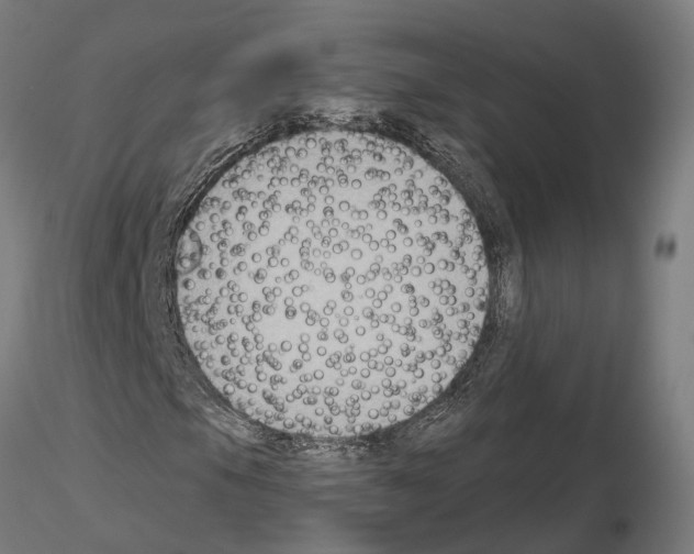 X0000115201105200912091128