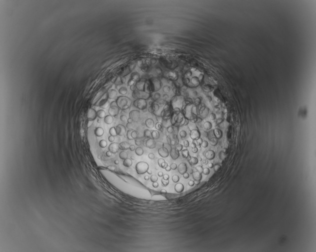 X0000115201106200912091128