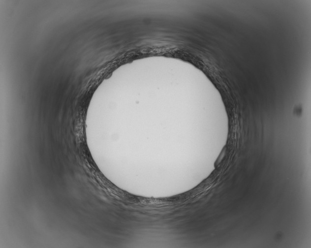 X0000115201109200912091128